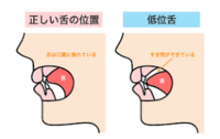 寝る前にそっと口と呼吸をゆるめて、睡眠の質を上げましょう