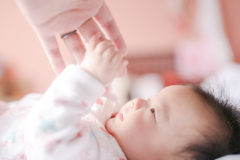 発達のポイント